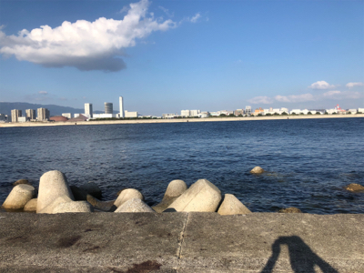 バラシた獲物はでかかった?