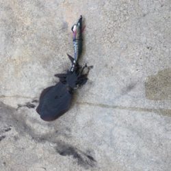 どしゃ降りの寒い日に