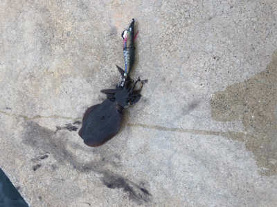 どしゃ降りの寒い日に