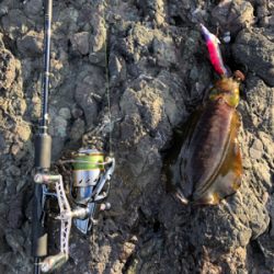 ホームポイントに魔物が