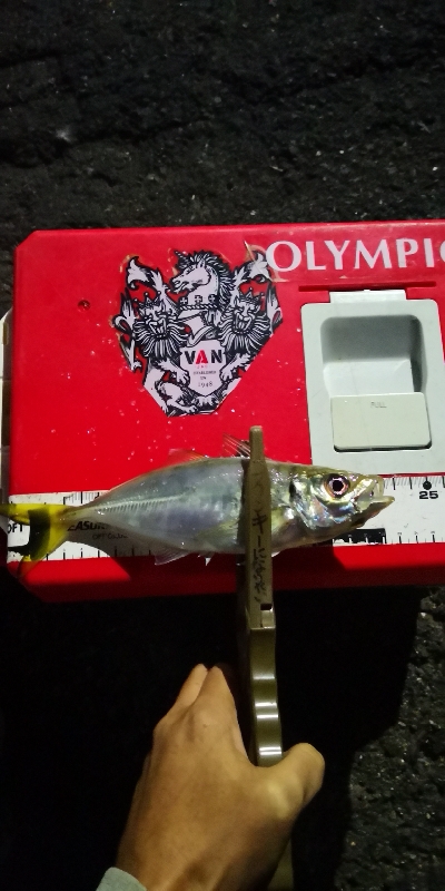 アジング練習 200