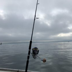 青物絶好調の週！明石ジギング