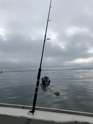青物絶好調の週！明石ジギング