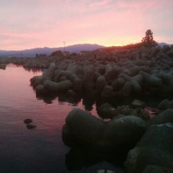 障泥烏賊4杯！数釣り記録も更新！