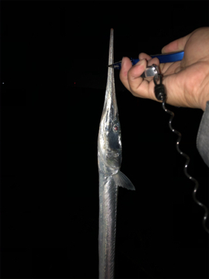 本命はゲットならず