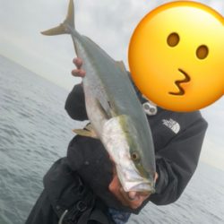 巻巻メジロゲーム