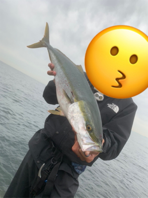 巻巻メジロゲーム