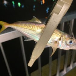 Fシステムアジング