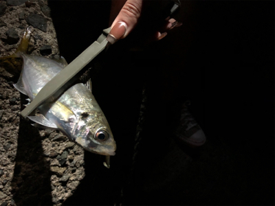 ちょっとだけ。