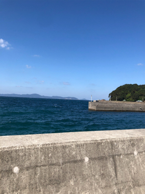 エソ祭りからの……