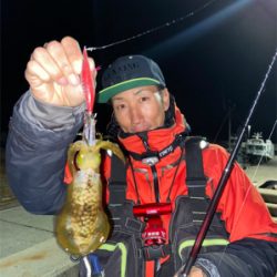 坊勢島のナイトアジング&エギング