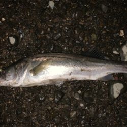 仕事帰りに同僚と！