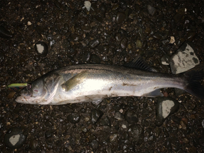 仕事帰りに同僚と！