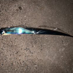 青岸でタチウオとアジが釣れました