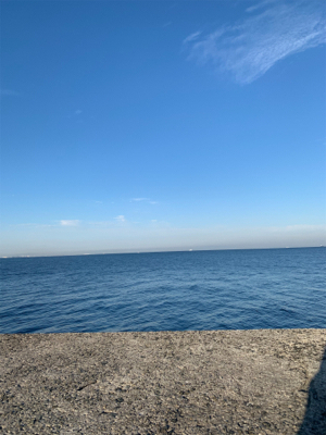 ライトショアジギング