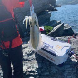 沼島の磯でエギング