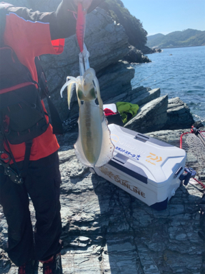沼島の磯でエギング