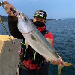 坊勢島の朝まずめ!青物ゲット♪GUNNING-STYLE