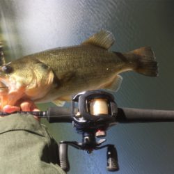 久々の布目ダム