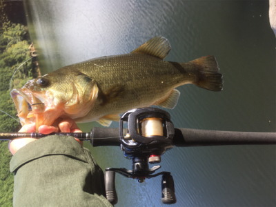 久々の布目ダム