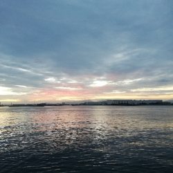 久しぶりの釣行