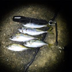 虫ヘッドアジング