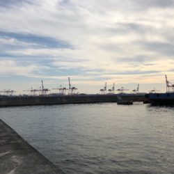 まだまだアコウさんは健在ですね