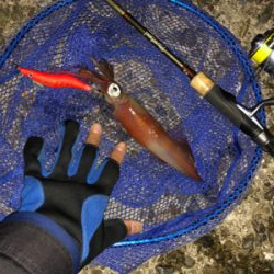 エギングランガン