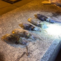 時合に入り連発!!