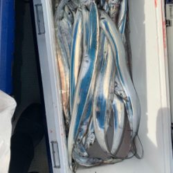 タチウオジギング