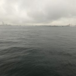 ☆雨にも負けず