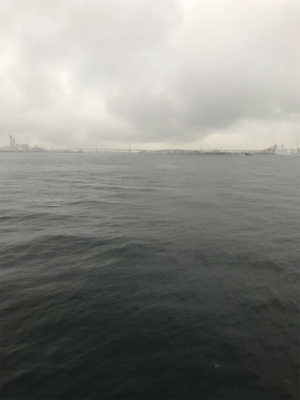 ☆雨にも負けず