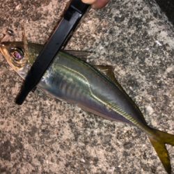 激ムズアジング