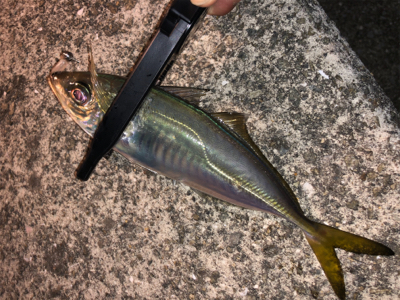 激ムズアジング