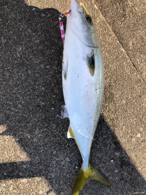 爆風の中なんとか四目達成