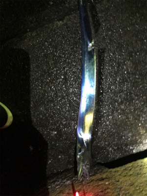 タチウオ とエギング