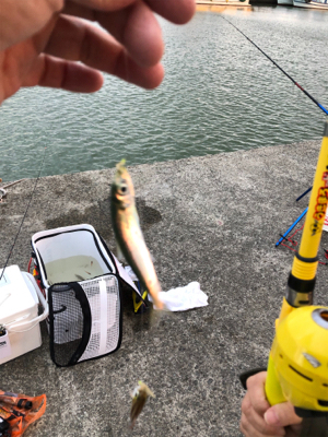 風が強くてつらい