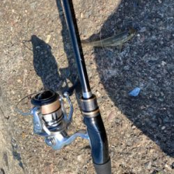 久しぶりのハゼ釣り