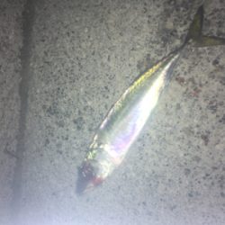 サバサバサバサバ