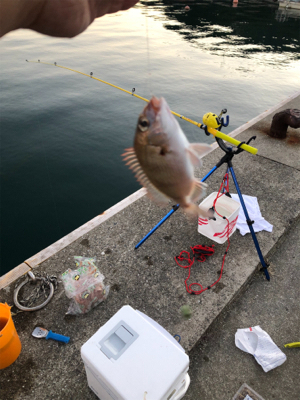 カワハギ釣り