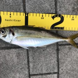 久しぶりの投稿。