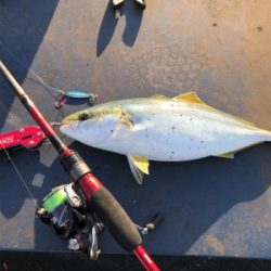 サバゲーのつもりが...