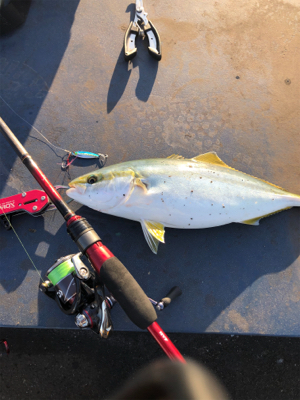 サバゲーのつもりが．．．