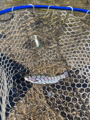 黒保根フィッシング