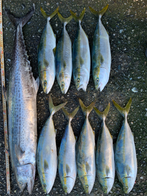 ショアジギング