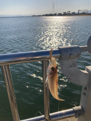 前回の雪辱。今度は餌釣りで