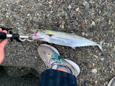 まだまだいけます！