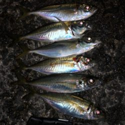 夜中にフロートアジング