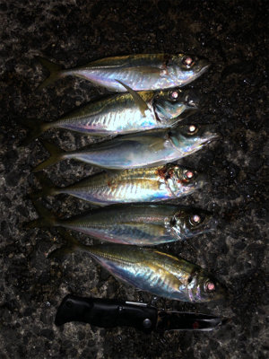 夜中にフロートアジング