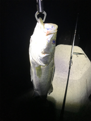 潮止まり直前に！